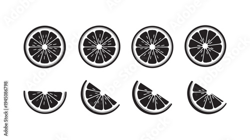 Citrus Slices Collection Vector Art Illustration Fruit Graphics Minimalist Design