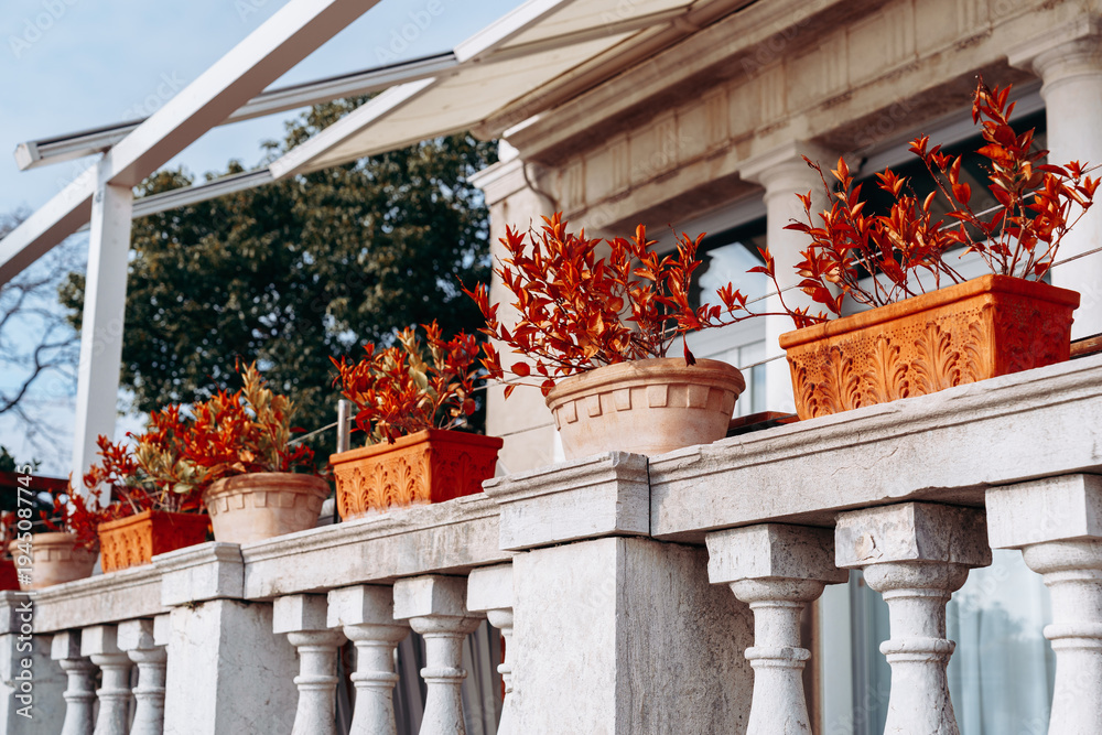 Naklejka premium Bright orange pots with plants on a balcony in a city during the day