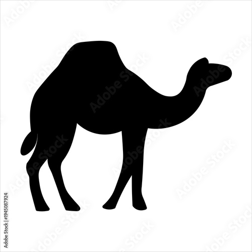 A striking black silhouette of a camel standing against a white background, showcasing its iconic hump and desert-adapted form.