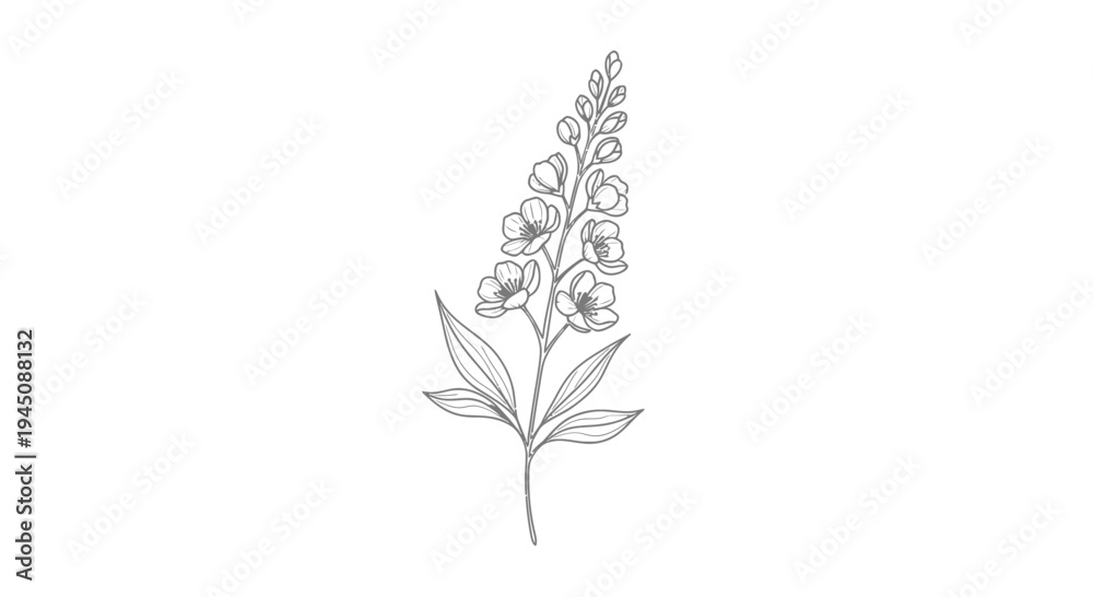 Obraz premium Elegant line drawing of a delicate foxglove flower stem.