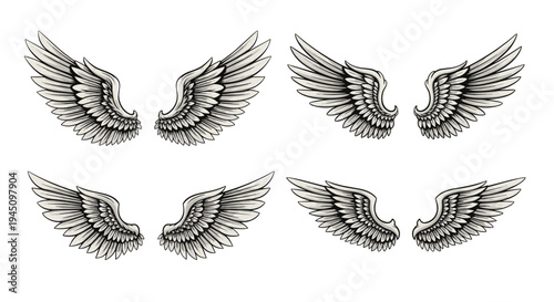 Set of four pairs of highly detailed feathered angel or bird wings in various positions drawn in an elegant hand-etched vintage style.