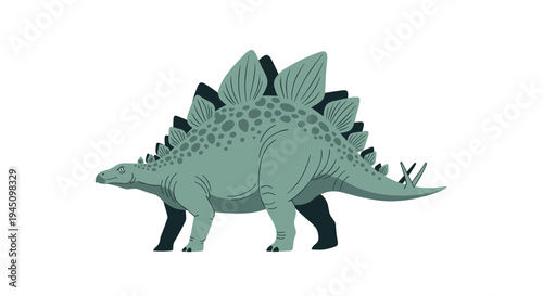 Detailed illustration of a stegosaurus dinosaur with a row of plates on its back and spikes on its tail, shown in profile view.