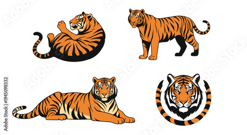 Collection of four tiger illustrations in various poses including lying down, standing, and a detailed head portrait inside a circular tail frame.