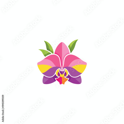 Stylized orchid bloom with colorful petals and green leaves on white