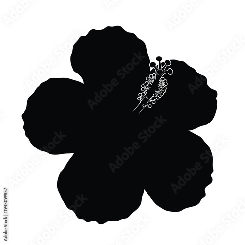 Silhouette of a hibiscus flower with visible pistil and stamens