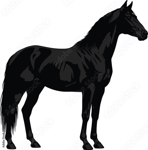 Black horse silhouette vector illustration standing stallion equine animal detailed body wildlife farm mammal design isolated elegant icon