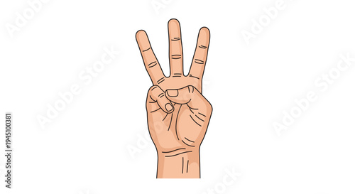 Detailed illustration of a human hand gesturing the number three with fingers raised isolated on a white background.