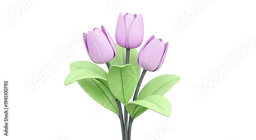 Three Purple Tulips with Green Leaves