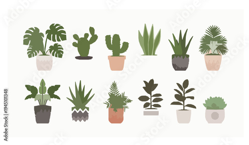 Decorative houseplants in pots flat vector collection indoor plants isolated on white background