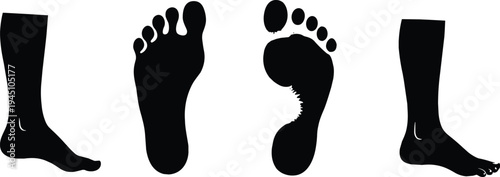 Human foot silhouette set vector illustration, barefoot footprint and leg shapes isolated black anatomy body design elements