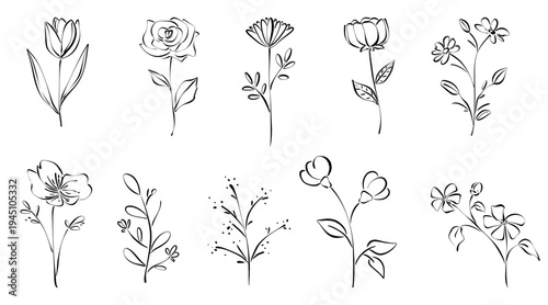 Line flowers art