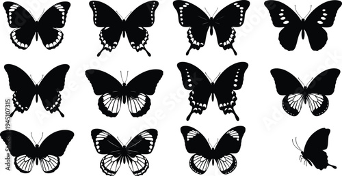 Diverse silhouettes of butterflies in elegant black and white contrast designs