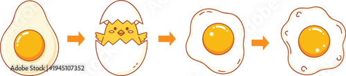 Egg life cycle concept vector illustration, egg hatching chick to fried egg sequence funny food evolution cartoon design