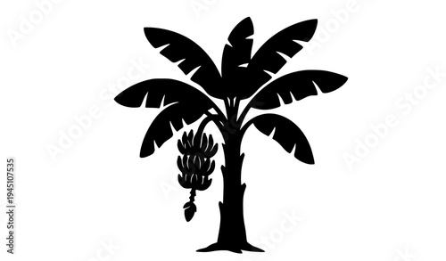 Banana Tree Silhouette with Hanging Fruit – Tropical Vector Illustration
