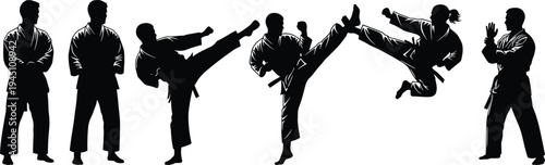 Silhouettes of martial artists demonstrating various karate techniques and stances