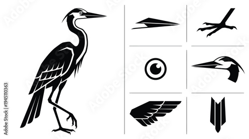 Elegant heron bird vector illustration collection with stylized heron body head beak eye wing tail and long leg with talons