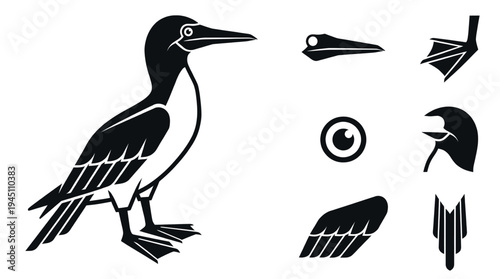 Blue-footed booby bird vector illustration set featuring bird body head with long beak eye wing and blue webbed foot icons