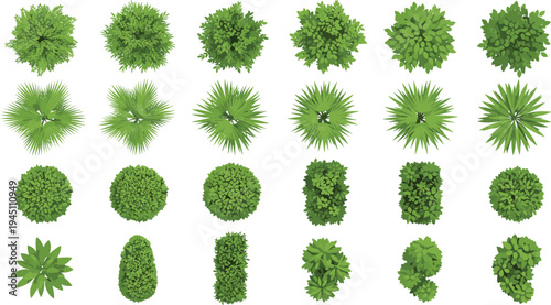 Top view green bushes and shrubs collection garden plants landscaping vector illustration set