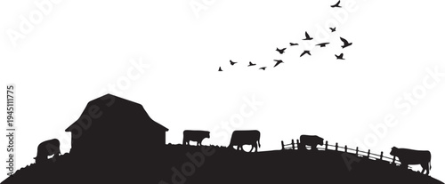 Black silhouette of cows and barn on hill with fence and flying birds