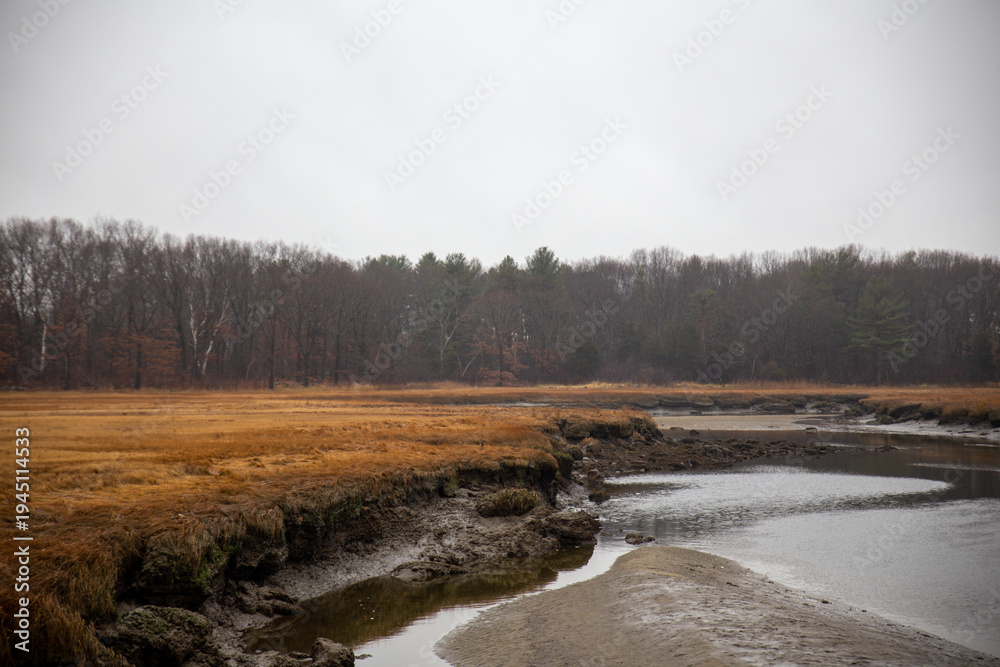 Foto Ipswich Creek During Low Tide