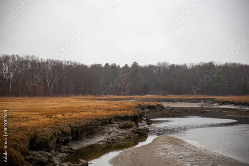 Konstfotografi Ipswich Creek During Low Tide