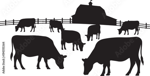 Black silhouettes of cows grazing near a barn and fence