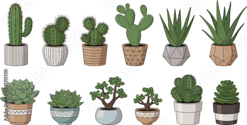 Indoor Cactus and Succulent Houseplant Collection with Potted Desert Plants, Aloe Vera, Prickly Pear, Jade Plant and Decorative Botanical Vector Illustration Set