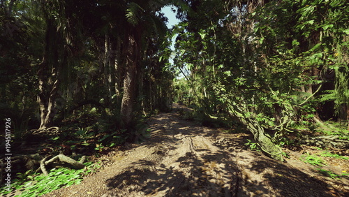 Fotografia narrow overgrown trail under emergent trees, thick understory and towering trunk