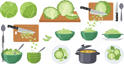 Cabbage Preparation and Cooking Process Vector Set Featuring Fresh Green Cabbage, Cutting Board, Knife, Shredded Vegetables, Salad Bowl, and Healthy Food Cooking Steps