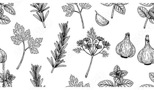 Vintage Herb Seamless Pattern Garlic Rosemary Dill Mint Engraving Vector