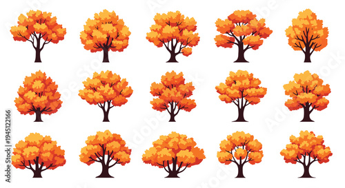 Grid of fifteen diverse autumn trees with vibrant orange and gold leaves representing the changing seasons and forest landscapes.
