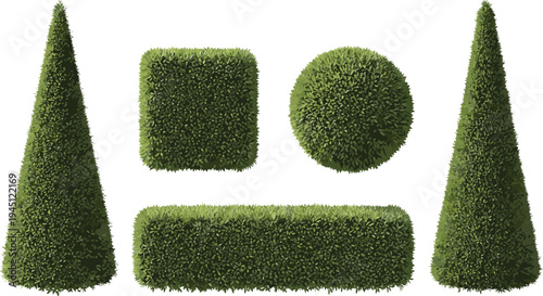 Green garden hedge shapes collection topiary bushes square round and cone shrubs vector illustration