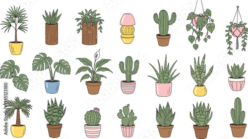 Potted houseplants and cactus collection indoor plants home decor botanical vector illustration set