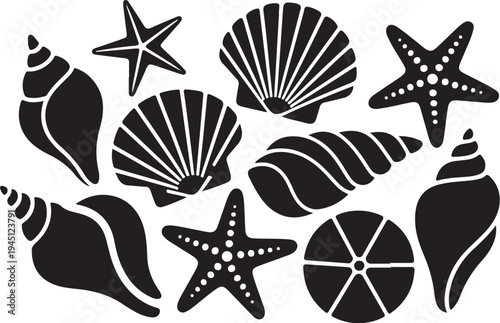 Black and white of seashells and starfish beach