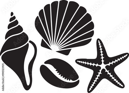 Black and white of seashells and starfish scallop shell