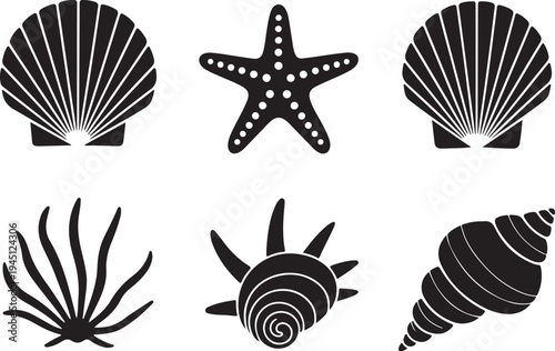 Black and white sea shell and starfish scallop shell