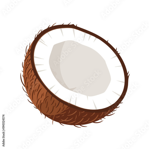 A halved coconut with brown fibrous husk and white flesh
