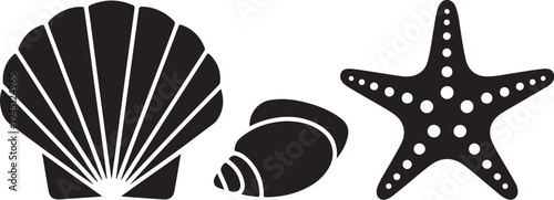 Black and white sea shell starfish and snail