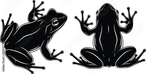 Silhouettes of frogs in side and top views, detailed limbs, toe pads, amphibian anatomy, biological illustration, vector art, black icons