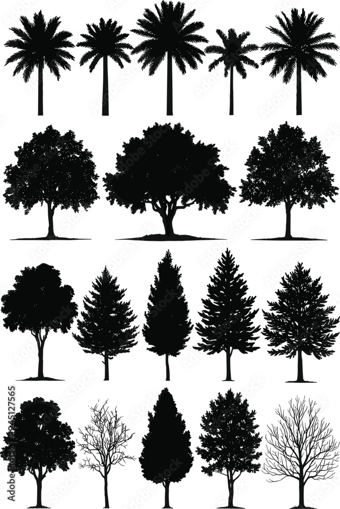 Fototapeta premium WebTree Silhouette Collection with Palm Trees Pine Trees and Deciduous Forest Trees Isolated on White Background for Nature Landscape Design Vector Illustration Set