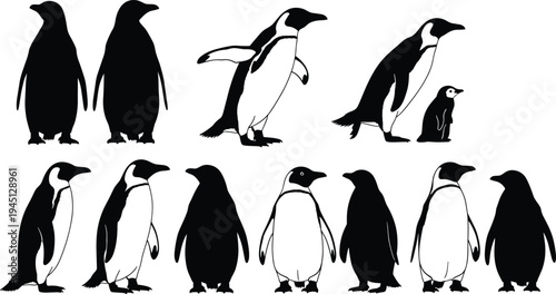Penguin silhouettes collection standing walking and chick Antarctic seabird wildlife animal black and white vector illustration set isolated