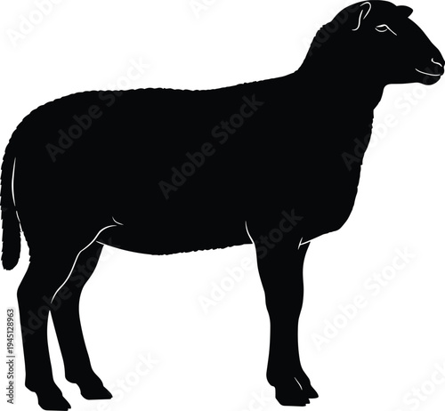 Sheep silhouette farm animal standing side view livestock mammal wool farming agriculture animal vector illustration isolated design element