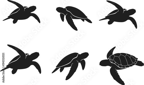 Set of Six Sea Turtle Silhouettes in Black and White Isolated on White Background for Nature Design