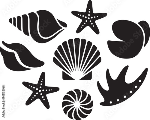 Black silhouettes of seashells and starfish on white background