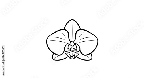 Black and White Outline Drawing of an Orchid Flower, Simple Botanical Line Art Illustration