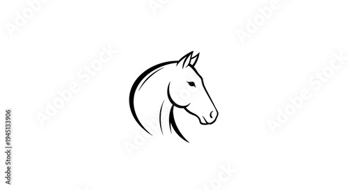 Elegant Horse Head Line Art Illustration on White Background