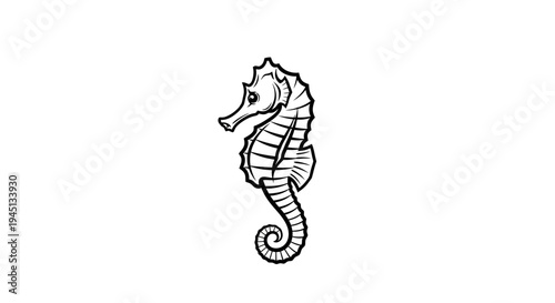 Elegant Seahorse Line Art Illustration Isolated on White Background