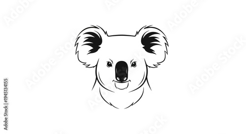 Koala Head Illustration Black and White Line Art Drawing