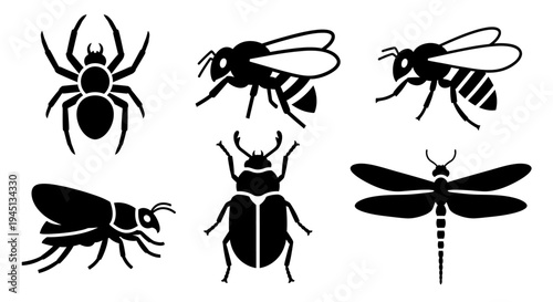 Set of Black Vector Silhouettes: Spider, Bees, Beetle, Grasshopper, Dragonfly Insects