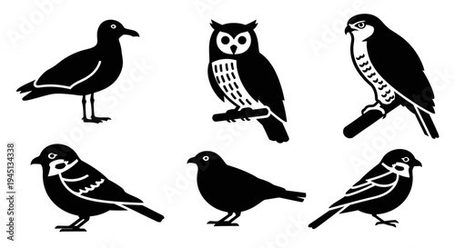 Set of diverse bird silhouettes: owl, falcon, seagull, and small perching birds icons